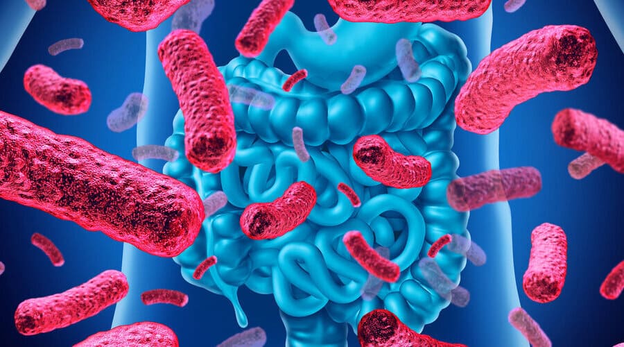 Разбираемся с острой кишечной инфекцией с Добрым Доктором