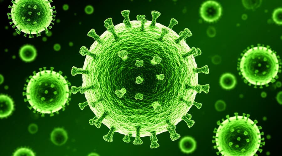 Вирус Нипах: рассказывает Добрый Доктор