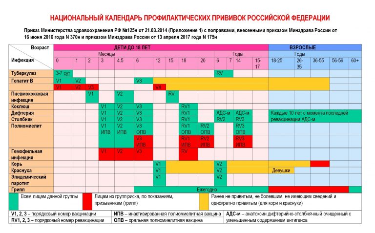 Подробнее о статье Национальный календарь профилактических прививок